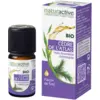 Image de Naturactive Huile Essentielle Bio Cèdre de l'Atlas 5 ml