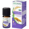 Image de Naturactive Huile Essentielle Bio Hélichryse Italienne 5 ml