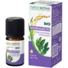 Image de Naturactive Huile Essentielle Bio Mandravasarotra 5 ml