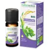 Image de Naturactive Huile Essentielle Bio Coriandre 10 ml