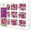 Image de Coffret Au Sycomore Perles Bois Alphabet