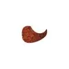 Image de Yellow Parts EZ1111T Pickguard Folk Ecaille PICKGUARDS