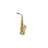 Image de SML Paris A420-II Alto Mib Brossé Verni Saxophones alto étude