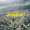 Image de Jungle (Black Vinyl) [Vinyl LP] en occasion ou reconditionné