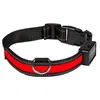 Image de Collier lumineux rouge EYENIMAL Light Collar USB Rechargeable Taille M