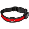 Image de EYENIMAL Collier lumineux Light Collar USB rechargeable L - Rouge - Pour chien
