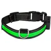 Image de EYENIMAL Collier lumineux Light Collar USB rechargeable M - Vert - Pour chien