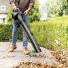 Image de Souffleur à feuilles