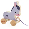 Image de Ane a Promener en Bois avec Clochette