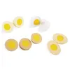 Image de Les oeufs du petit chef en bois