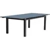 Image de Table Jardin Miami 300x100cm Gris Anthracite