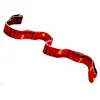 Image de Elastiband Tremblay Elastiband 10kgrs Rouge Taille : TU