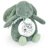 Image de Veilleuse musicale Lapin vert