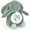 Image de Doudou et Compagnie, Veilleuse, Veilleuse étoiles & musique, lapin vert sauge 19cm