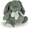 Image de Doudou et Compagnie Lapin vert sauge, 42cm (42 cm)