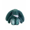 Image de Peluche lapin vert 25 cm - Lapin Fleurette