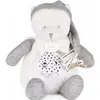 Image de Doudou et Compagnie, Veilleuse, Nachtlicht Sterne & Musik, Bär silber 19cm