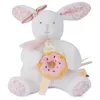 Image de Lapin vanille fraise - pantin avec donut