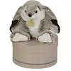 Image de Histoire d'Ours Peluche Les Z'animoos Lapin Marius