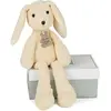 Image de Histoire D'ours Lapin (40 cm)
