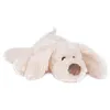 Image de Chien cookie petit modele - 25 cm