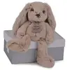 Image de Lapin Histoire d’Ours Copains Câlins Beige 25 cm