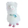 Image de Histoire d'ours - LAMA BLANC - 20 CM