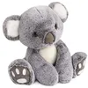Image de Peluche koala Histoire d'Ours 35 cm