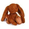Image de Peluche Histoire d'Ours Lapin 32 cm Marron
