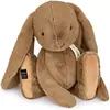 Image de Doudou et Compagnie Lapin (50 cm)