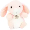 Image de Doudou et Compagnie Lapin 20cm (20 cm)
