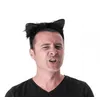 Image de serre tete oreilles de chat