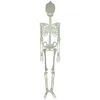 Image de Squelette phosphorescent 1m50