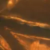Image de Lustra