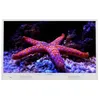 Image de Tv led portable 32 pouces sur batterie 82 cm avec assistant vocal et pvr 32dmd22hw - DAEWOO