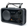 Image de Muse M-06 DS - Radio portable
