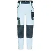 Image de Pantalon De Travail Cary Gris, Taille 42
