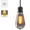 Image de Ampoule LED ST64 - culot E27 - vintage fumée