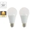 Image de Xanlite - Lot de 2 ampoules LED A60 - culot E27 - classique - PACK2EE1521G