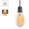 Image de Ampoule LED ST64 - culot E27 - vintage