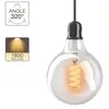 Image de Ampoule LED G125 - culot E27 - vintage