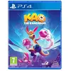 Image de Atari, 4SIDE Kao The Kangaroo Standard PlayStation 4