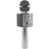 Image de BoomTone DJ STAR-SING Amplificateur Karaoké