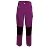 Image de Pantalon de travail Fashion Securité PEP'S violet/noir XS 660020