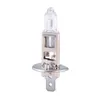 Image de 5 ampoules h1 12 volts 55 watts phares et anti-brouillards avant - Oc-pro