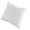 Image de OLYMPE LITERIE - Oreiller 65x65 cm NATURA - Duvet & Plumes