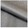 Image de Simili Bling Bling Paillettes Swarovski vendu au mètre(...) - Argent Gris