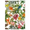 Image de Tissu d'extérieur Bora Bora déperlant vendu au mètre(...) - Borabora blanc