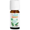 Image de Puressentiel Huile Essentielle Vanille (Vanilla planifolia) Bio 5 ml