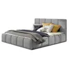 Image de Lucea - lit coffre - 180x200 - sommier inclus - en velours - Gris clair